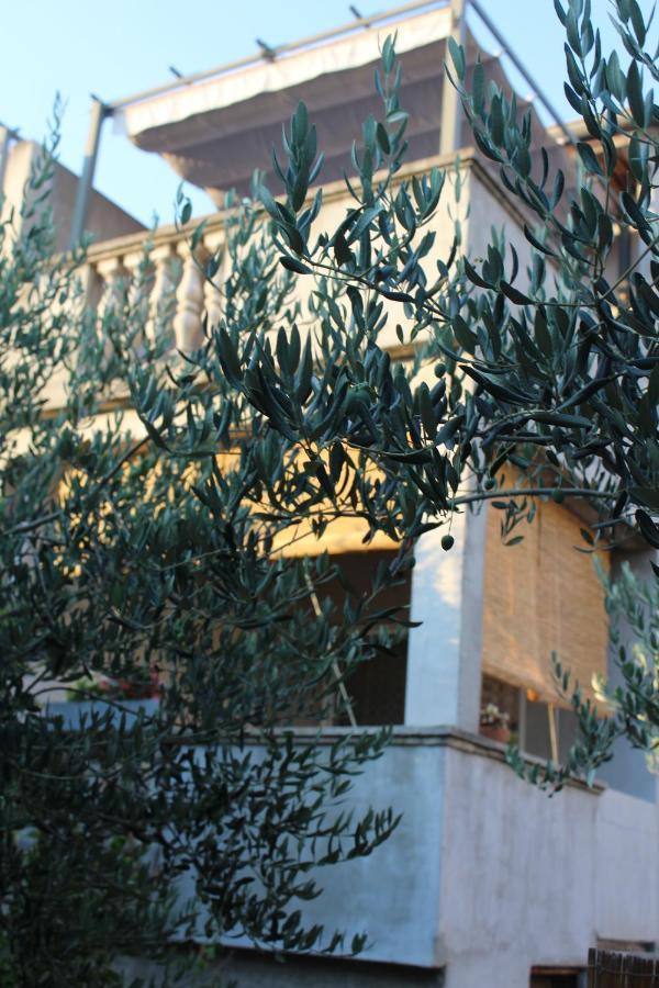 Apartments & Rooms Tea Zadar Ngoại thất bức ảnh