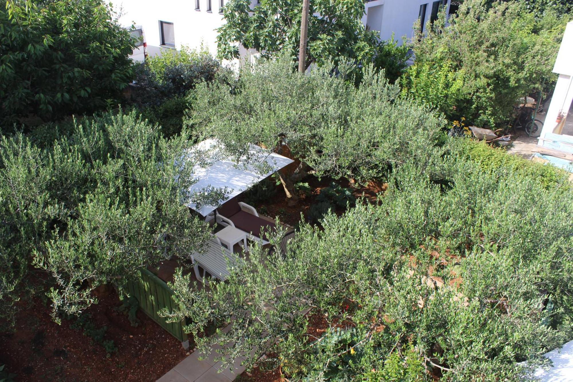 Apartments & Rooms Tea Zadar Ngoại thất bức ảnh